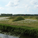 Image for article titled How This Simple Landscaping Project Quiets an Airport's Roar